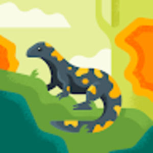 Meet your Posher, Kalisa